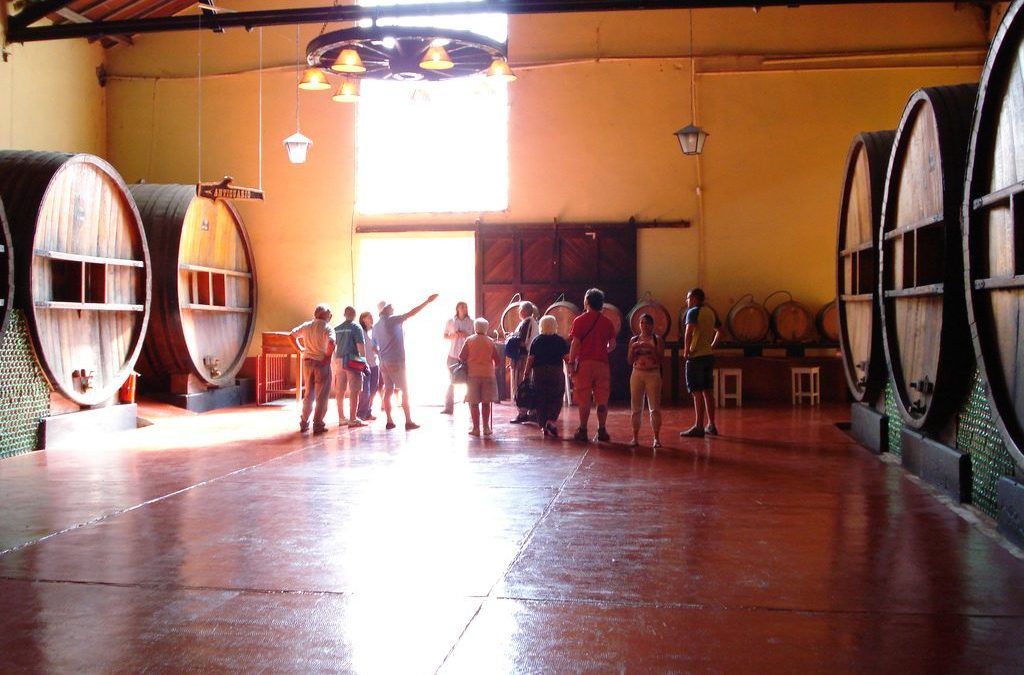 Luján vivirá el «Mes del Vino» en Setiembre
