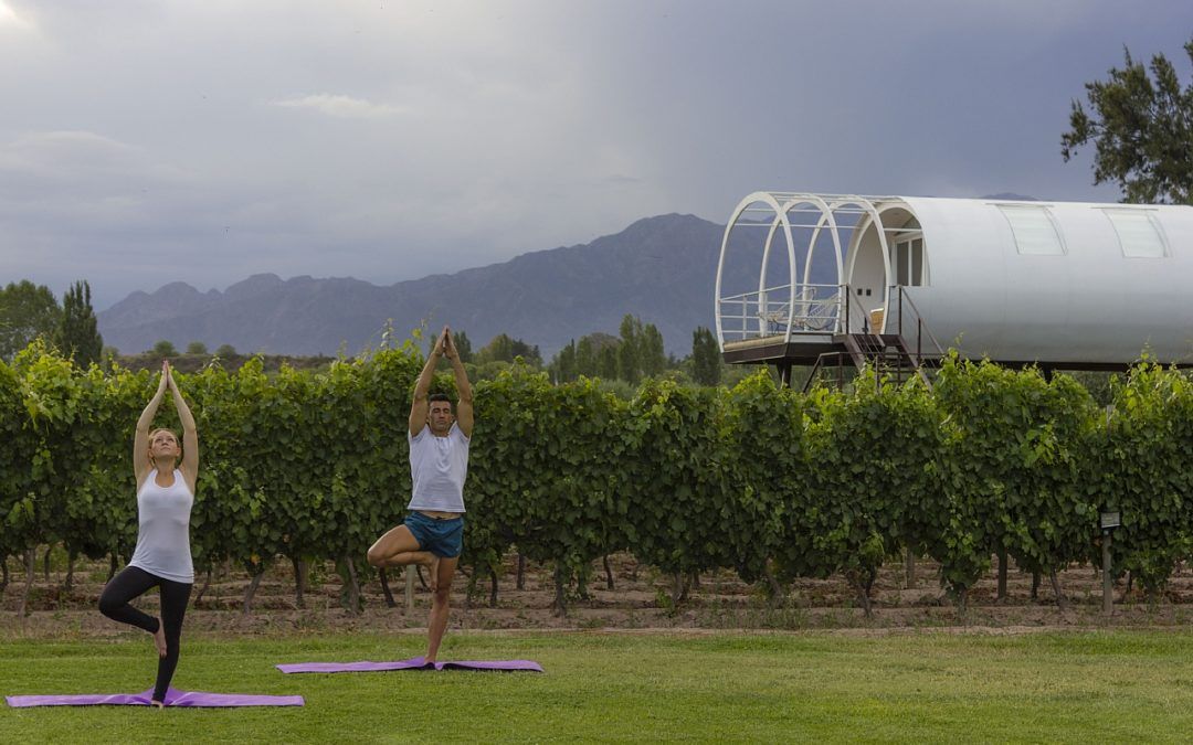 Se viene Yoga por los Caminos del Vino