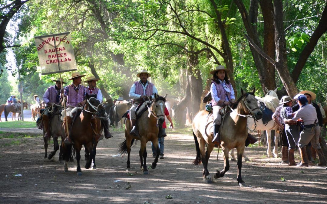 «Cabalgata de la Hermandad» juntó más de 300 jinetes
