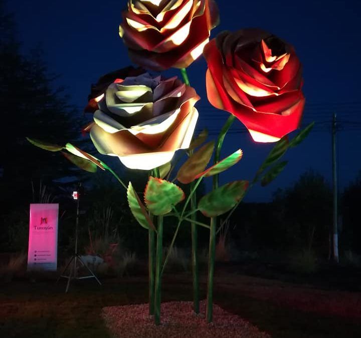 Belleza pura en Colonia Las Rosas