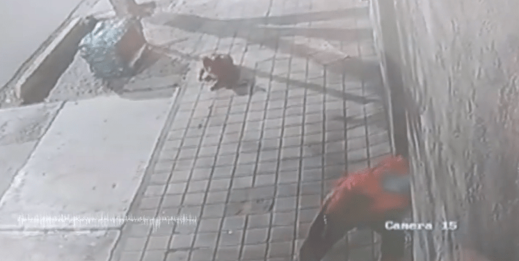 Magia negra en el Hospital Tagarelli ?