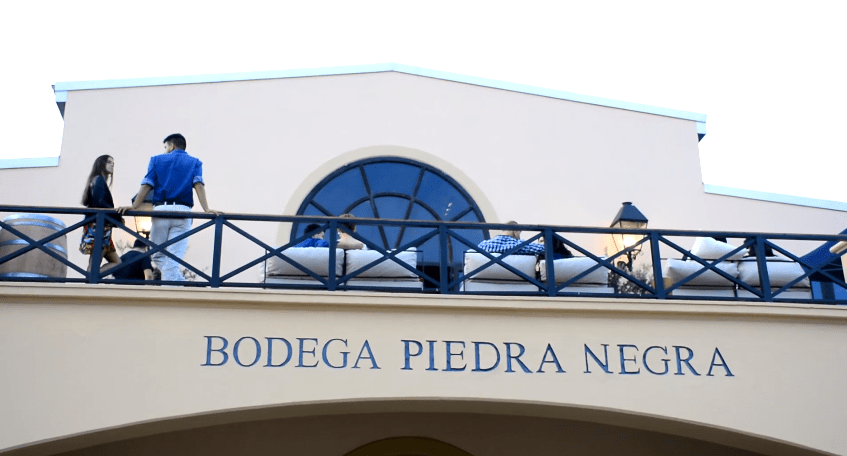 Gran éxito de «Expo Bodegas Valle de Uco»