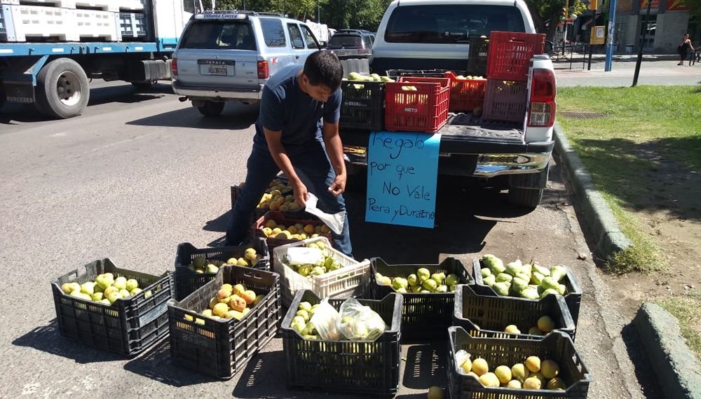 Productores locales de peras y manzanas serán beneficiados por un decreto nacional.