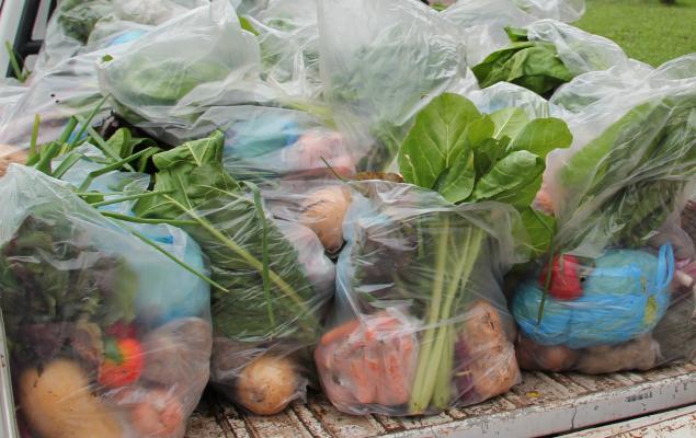 Cooperadora INTA La Consulta ofrece su producción,  con precios razonables.