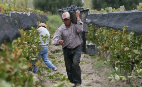 Conflicto laboral entre bodegas y FOEVA, hubo acuerdo salarial