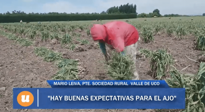 Mario Leiva : «Hay que cambiar la ley laboral de las economías regionales»