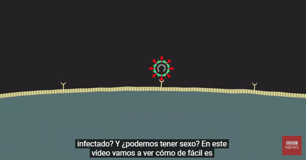Atención. Cuánto tiempo dura el Covid-19 en pantallas de teléfonos y billetes. VIDEO