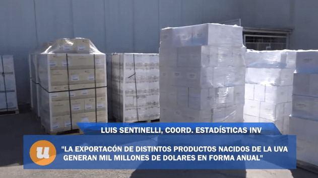 «Argentina finaliza el año como el País que mas creció en el mundo, en materia  de exportaciones de vino y sus derivados»