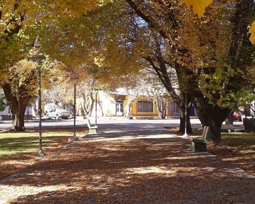 San Carlos dió comienzo al «Censo Forestal»