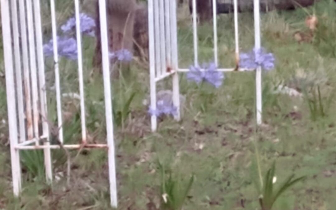 «Luces y Sombras» de la semana que pasó.