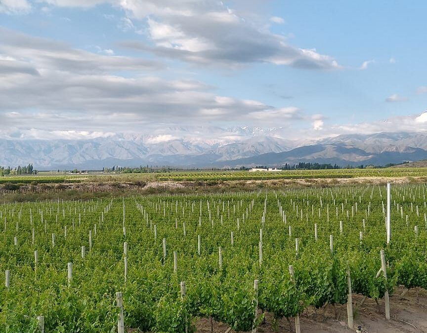 «Luces y Sombras » de la semana que pasó.