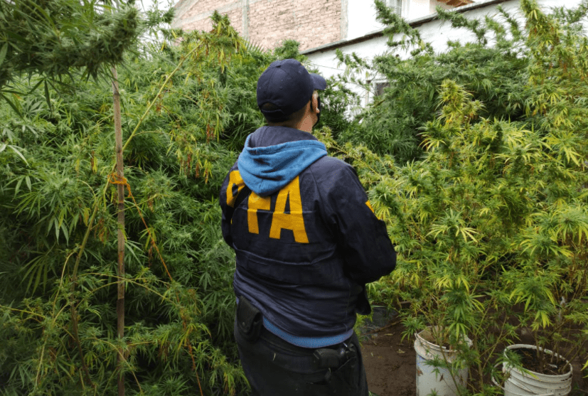Hacían «delivery» de drogas y cobraban con «Mercado Pago».