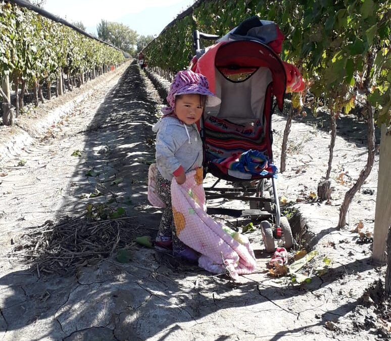 «Luces y Sombras» de la semana que pasó