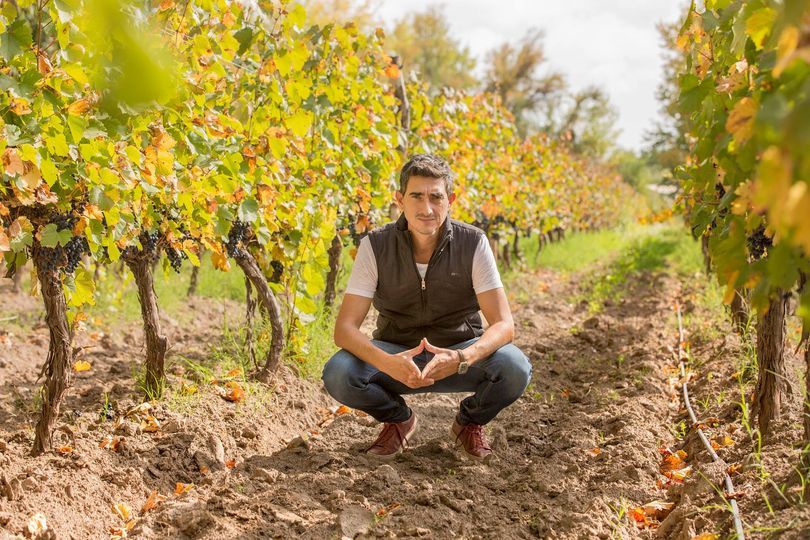 Columna de Opinión, Diego Stortini y el «Desarrollo Económico»