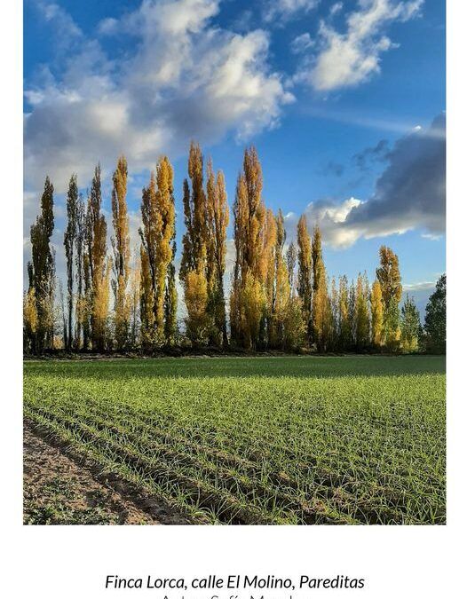 «Luces y Sombras» de la semana que pasó