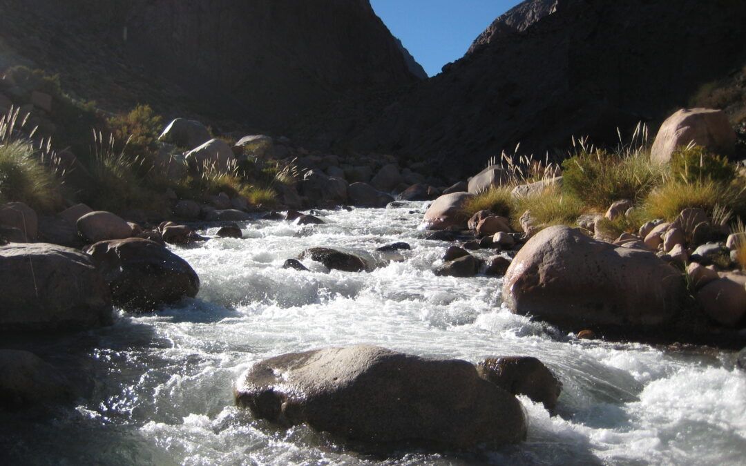 «Luces y Sombras» de la semana que pasó