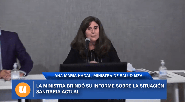 Con discusiones y poco diálogo, Nadal expuso ante la Bicameral de Seguimiento de Covid-19 la gestión de la pandemia