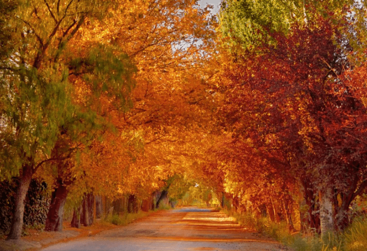 «Luces y Sombras» de la semana que pasó