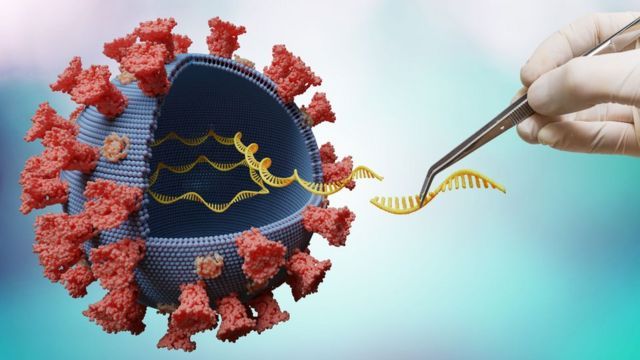 COVID, la variante Delta  es muy contagiosa. Qué sucede con quienes tienen una dosis de vacuna
