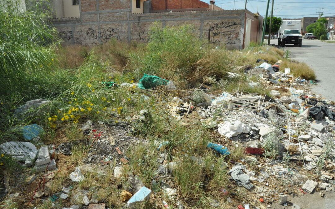 San Carlos emplaza propietarios de lotes baldíos