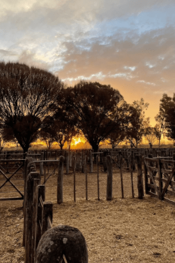 «Luces y Sombras» de la semana que pasó.