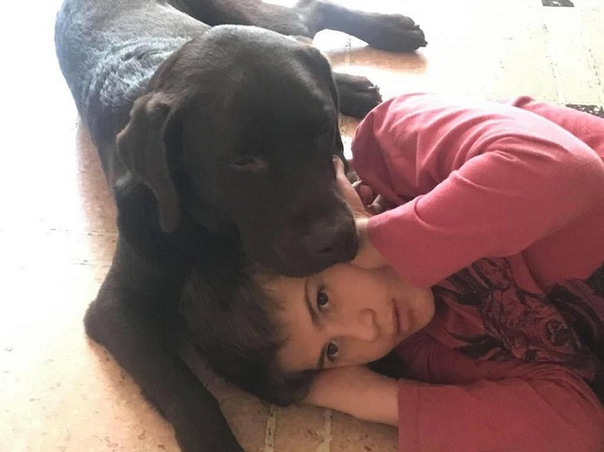 El Senado aprobó el proyecto que otorga libre circulación a personas con perros de asistencia