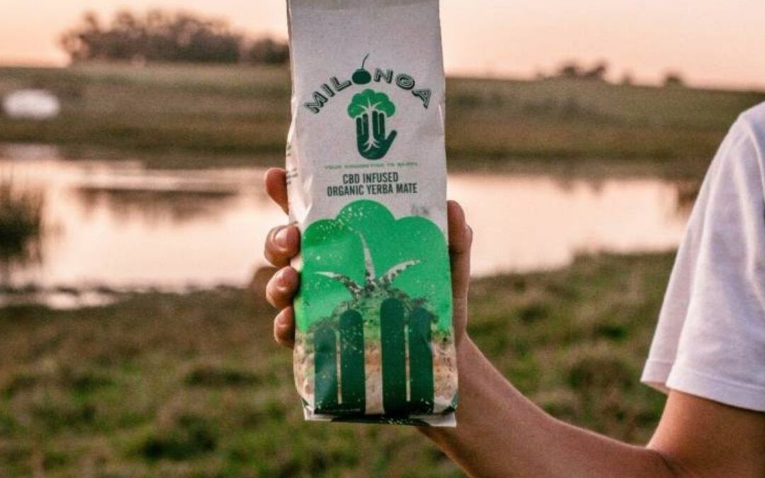 La nueva yerba mate con marihuana que es furor en EEUU