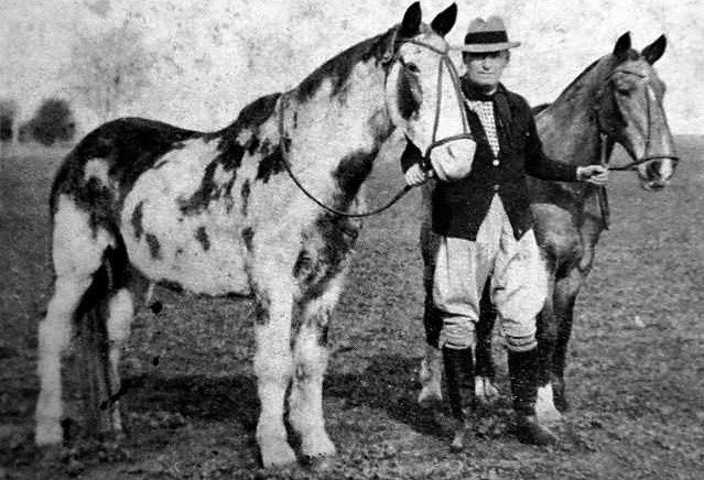 Se celebra hoy en Argentina el Día Nacional del Caballo
