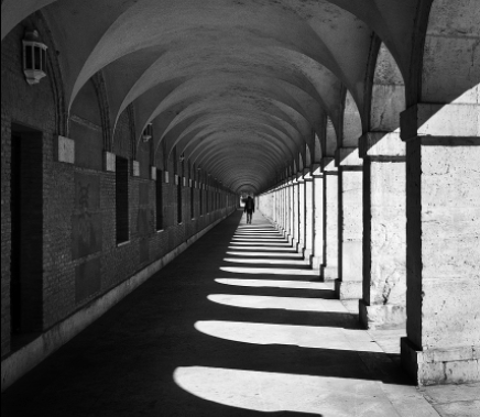 «Luces y Sombras»  de la semana que pasó