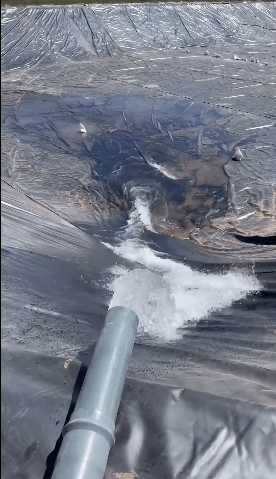 «Luces y Sombras» de la semana que pasó