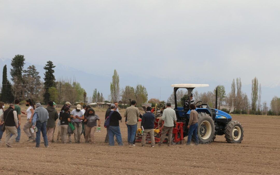 INTA La Consulta realizó   una jornada doble sobre mecanización hortícola y el manejo a campo del ajo.