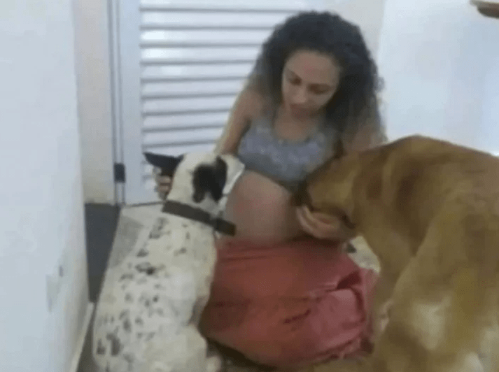 Terrible. Esperó 9 años para ser madre y un pitbull mató a sus gemelas