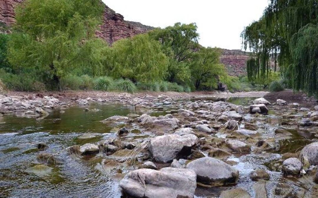 Pronóstico hídrico 2022, delicada situación  para el Río Tunuyán.