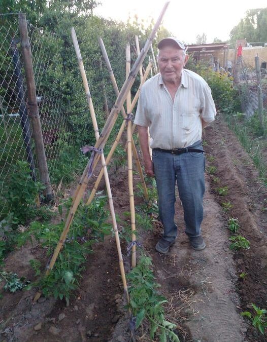 «Luces y Sombras» de la semana que pasó