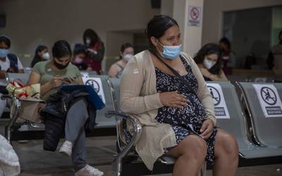 ANSES extendió la «Asignación por embarazo», como acceder