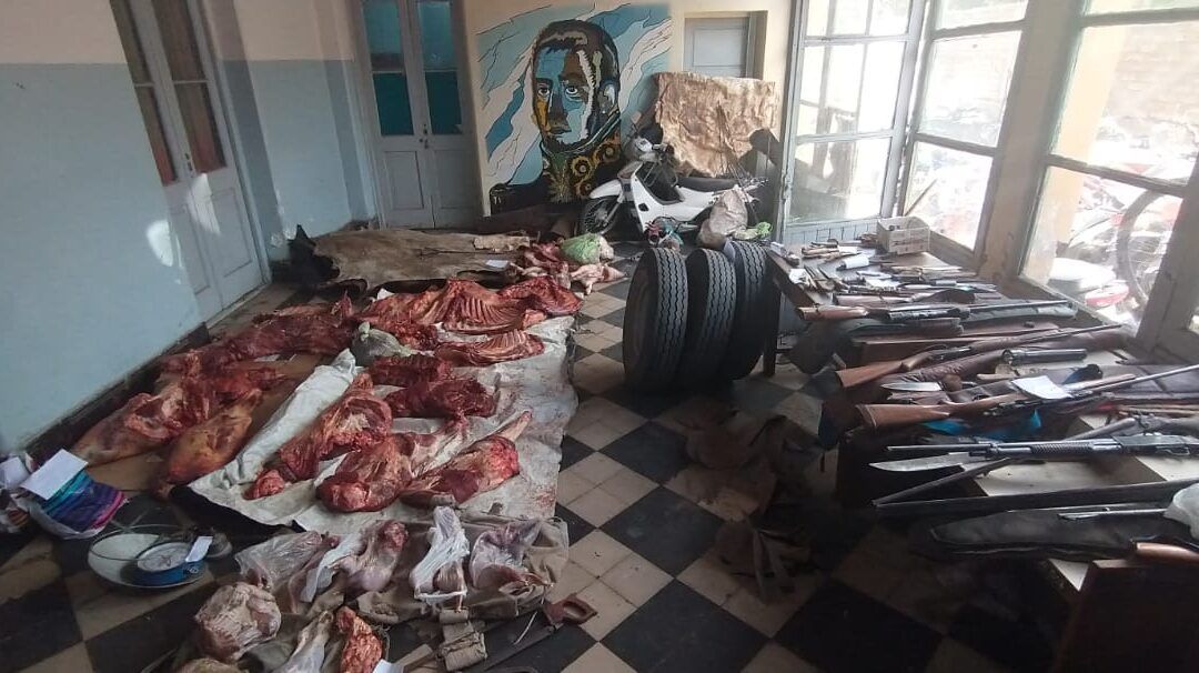 Desarman una  banda dedicada al robo de animales en San Carlos