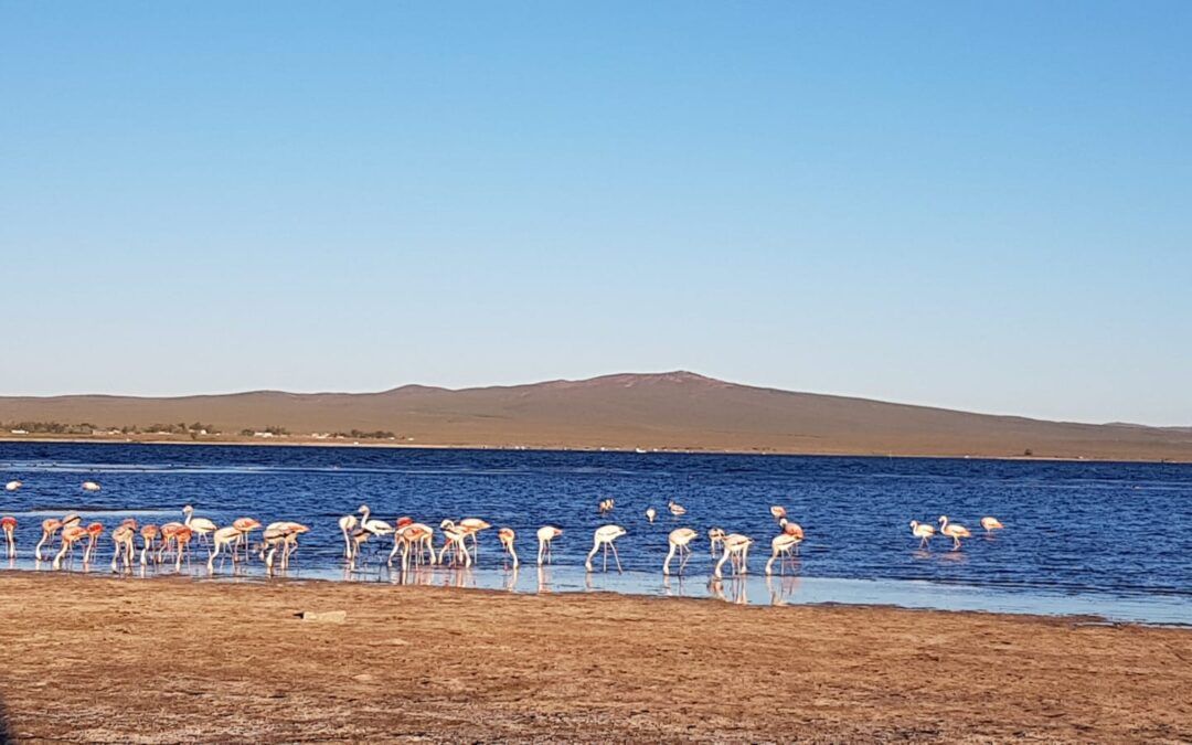 «Luces y Sombras» de la semana que pasó