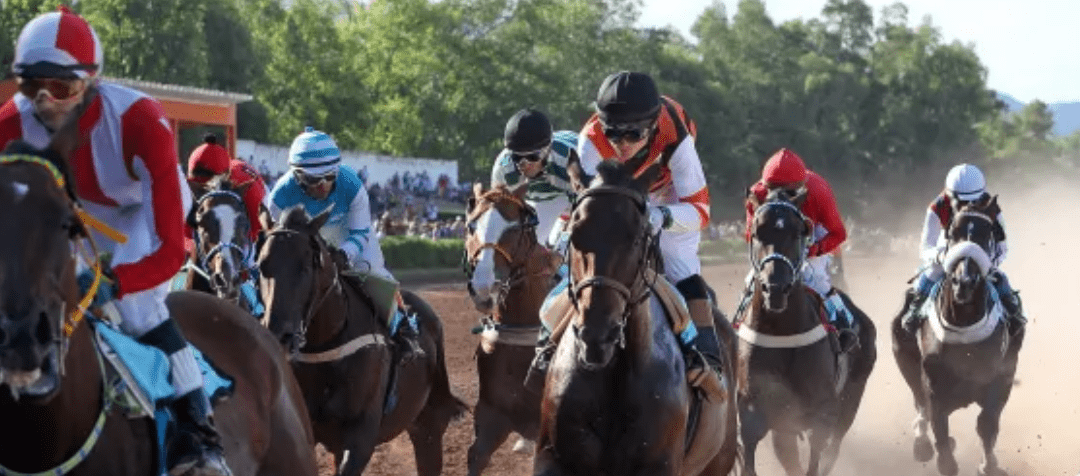 Mañana se corre un clásico del turf mendocino, el «Gran Premio Vendimia»