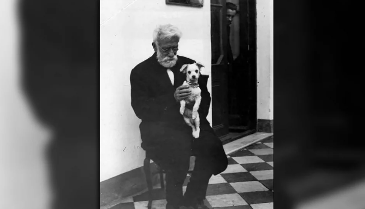 «29 de Abril  Día del Animal» ¿Por qué se celebra  en Argentina?