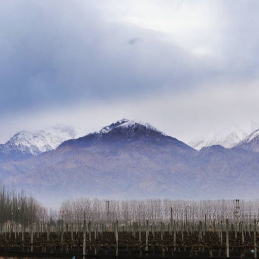 «Luces y Sombras» de la semana que pasó