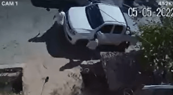 Video: así robaron   4 millones de pesos en Mendoza Ciudad