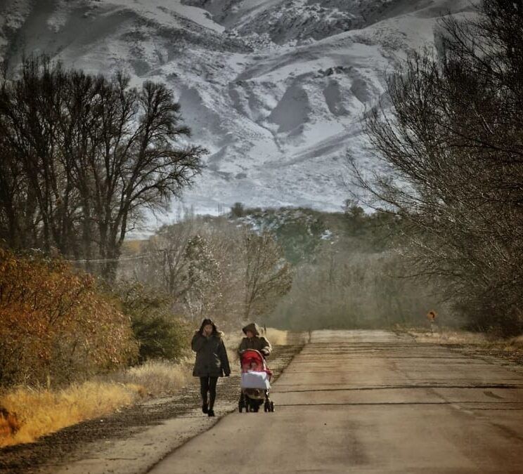 «Luces y Sombras» de la semana que pasó