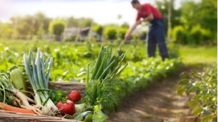 INTA La Consulta impulsa las «Buenas Prácticas Agrícolas» para la identidad gastronómica
