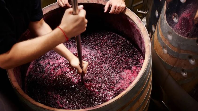 El INV simplifica  la producción de vino casero