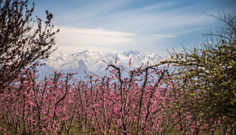 «Luces y Sombras» de la semana que pasó