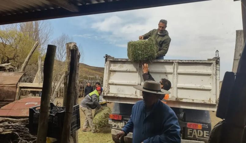 San Carlos sigue trabajando en la asistencia a los puesteros