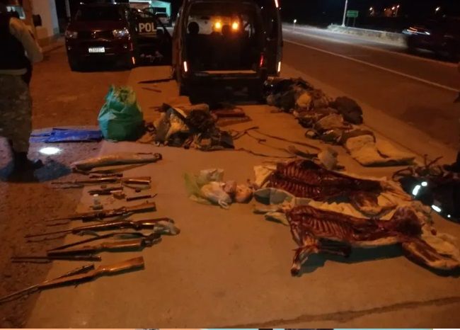 Caza ilegal en San Carlos, detenidos con armas y guanacos muertos