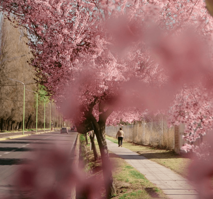 «Luces y Sombras» de la semana que pasó