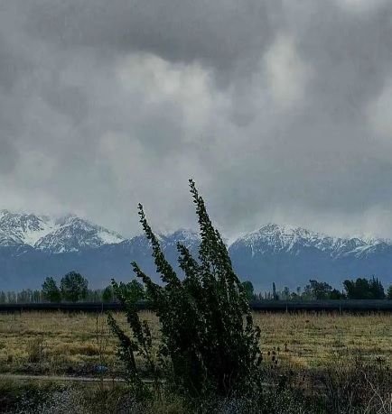 «Luces y Sombras» de la semana que pasó