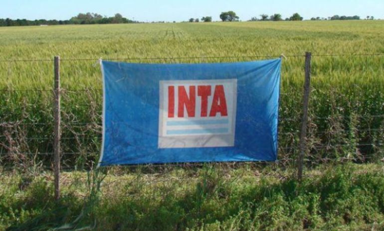 INTA ofrece una «Diplomatura en Diseño y Evaluación de Políticas Públicas» para el Sistema Alimentario